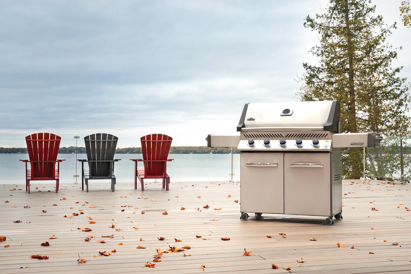 Napoleon Prestige 665RSIB Natural Gas Grill