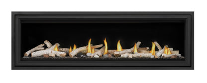 Vector Series Linear Fireplaces